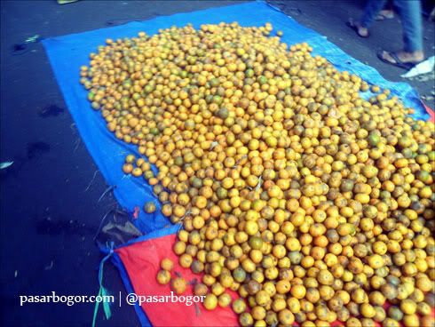 Gerombolan buah jeruk :D