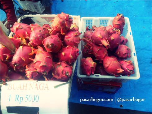 Buah naga di salah satu kios penjual buah