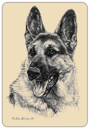 [Image: mi-peg-german-shepherd.jpg]