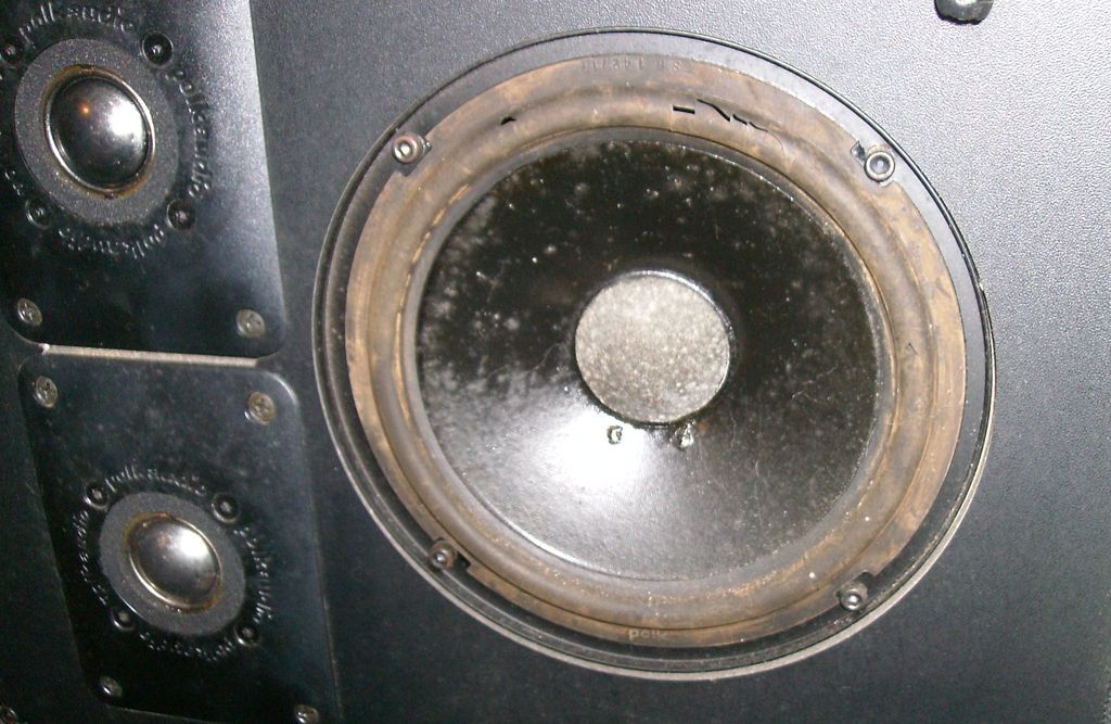 Polk%20SDA-SRS%201.2tl%20mid%20bass%20driver%20SANY5101%20rips%20amp%20tears%20in%20surrounds.jpg