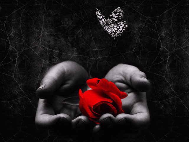 backgrounds pictures Pictures, Images and Photos