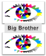 Big Brother Avatar