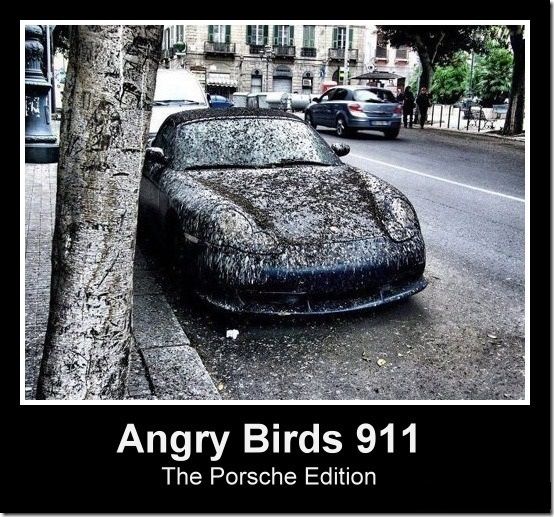 0504-AngryBirdsPorscheEdition_zps5a08f4dc.jpg