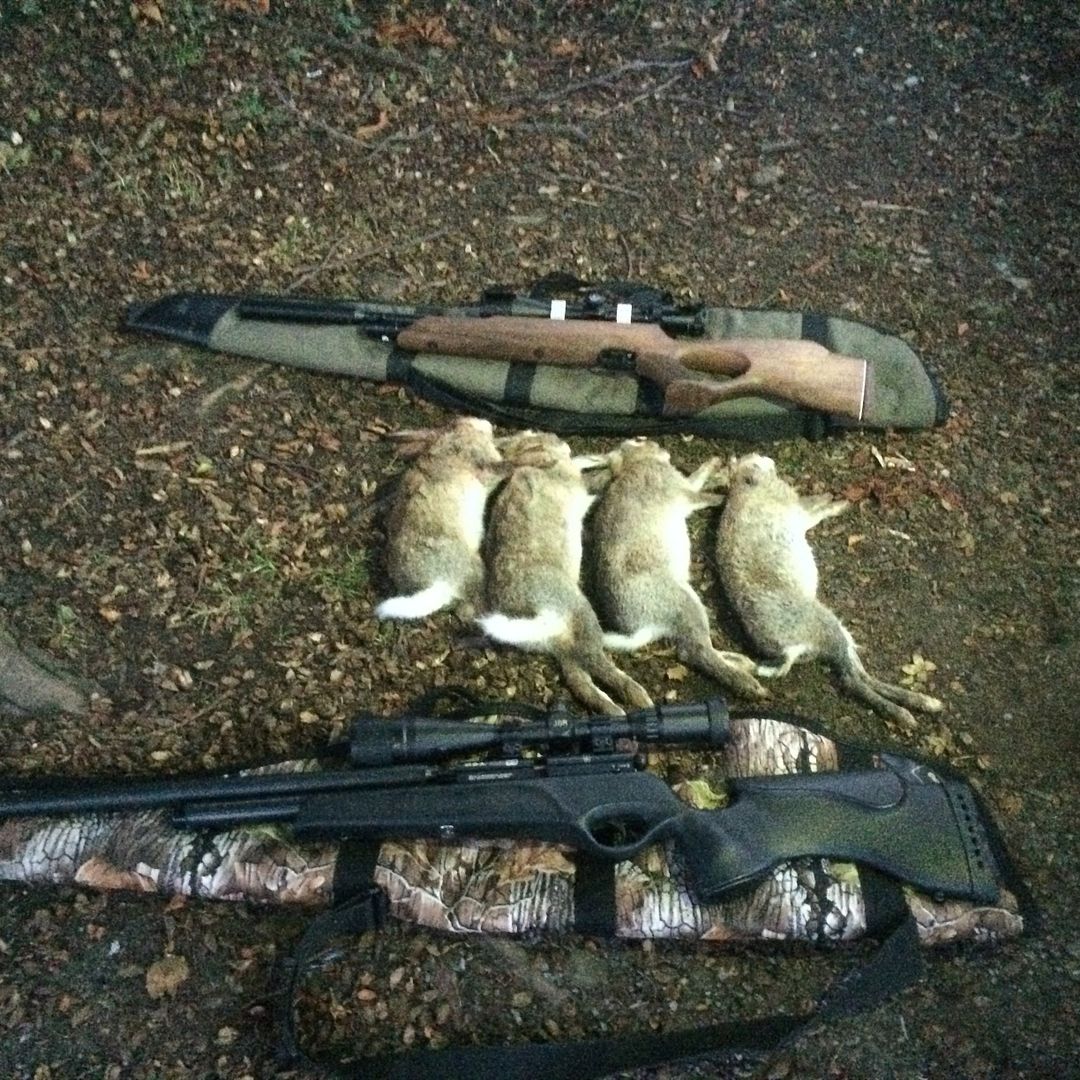 791CF41A-0A83-4041-9BDC-11FC905FCEC6_1.j