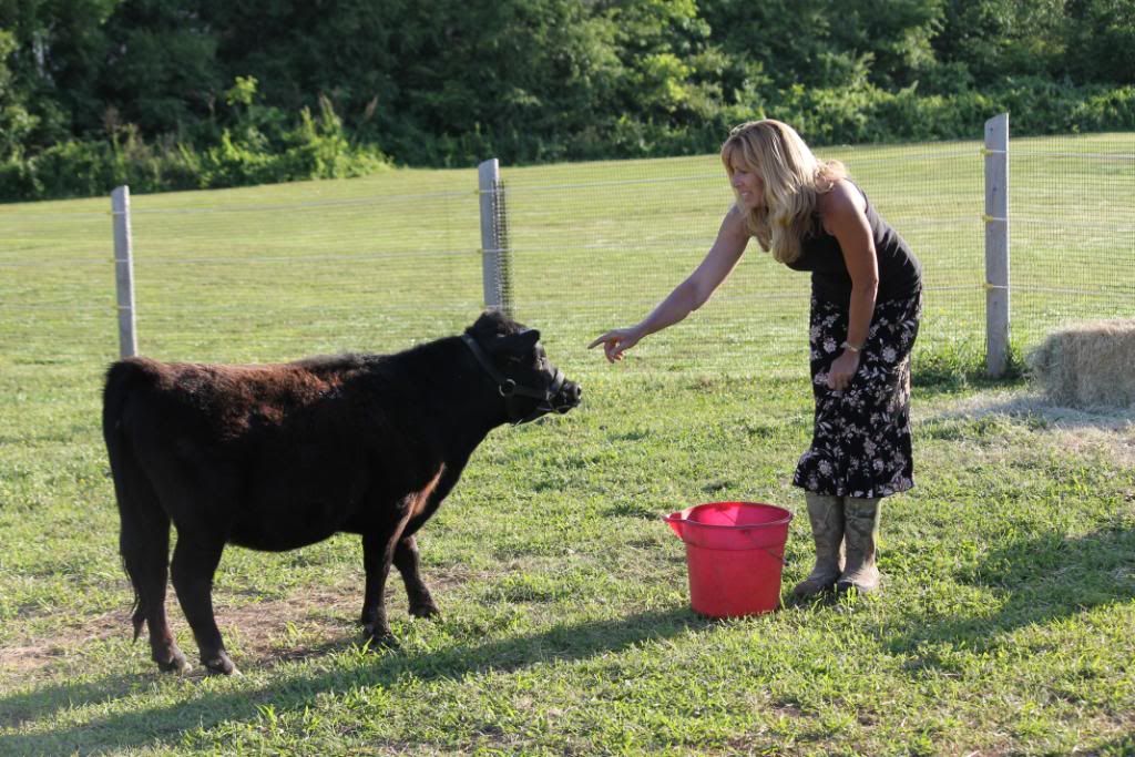 Pictures of Mini Coop and a person, well, me - Cattle