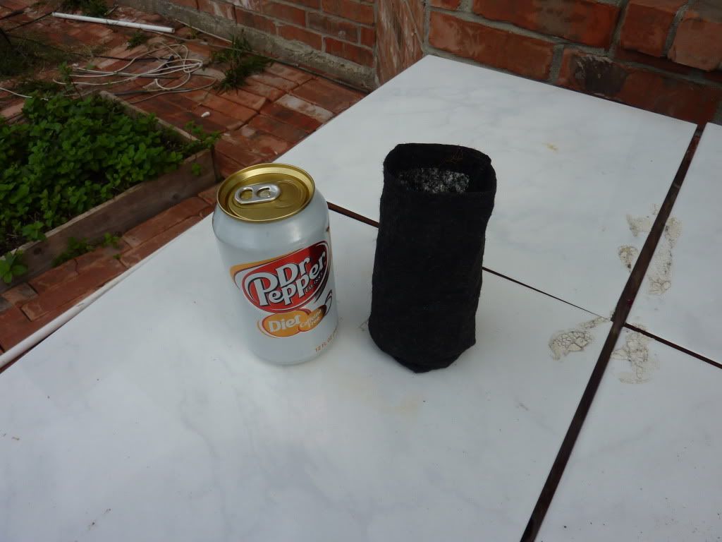 Posted Image