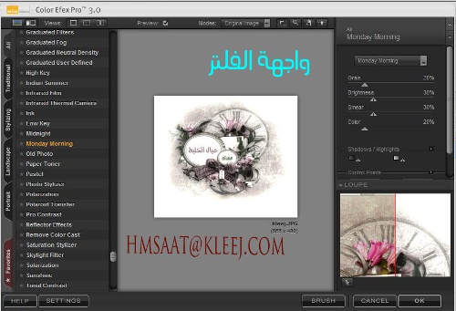 Software Color Efex v3.0  10-2.png