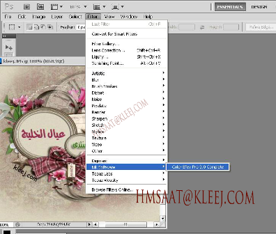 Software Color Efex v3.0  9-3.png