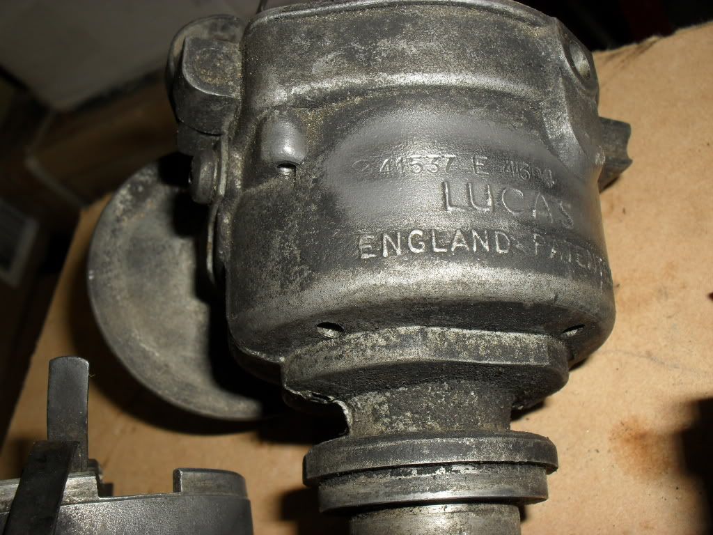 SDC11416.jpg
