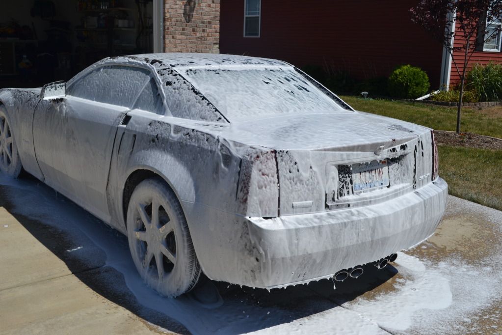 DSC_0082.jpg