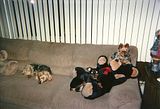 /></p> <p>this is Katy(yorkie, age 13) Kristy, 8, Min Pin with her teddy bear and our Kayla age 11</p> <p><img class=
