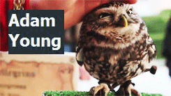 adam young photo: Adam owl tumblr_luu3d9oLSm1qi09o8o1_250.gif