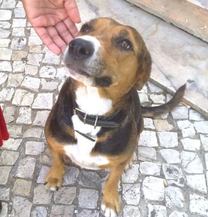 Imagem