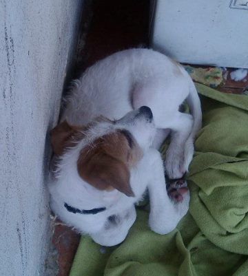 Imagem