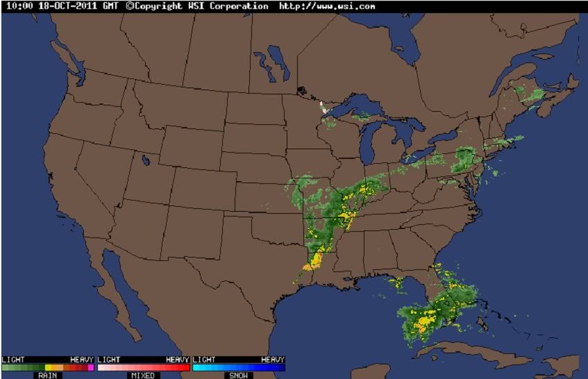 Connecticut Weather (Bridgeport backyard, best weather, park) (CT