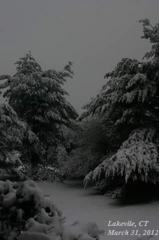 Snow11-3.jpg