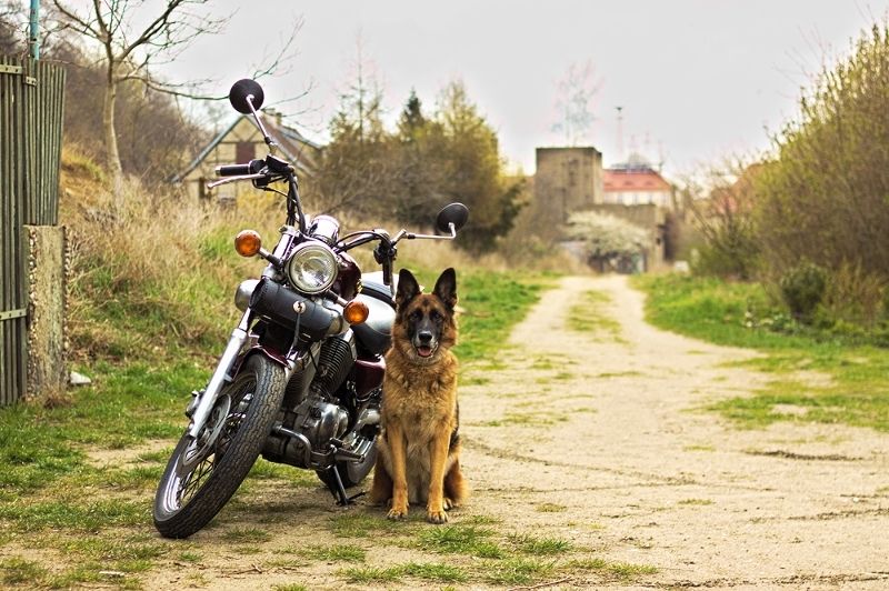 bf24d8e6-94cd-4902-89d1-14bbffd4e360_zps