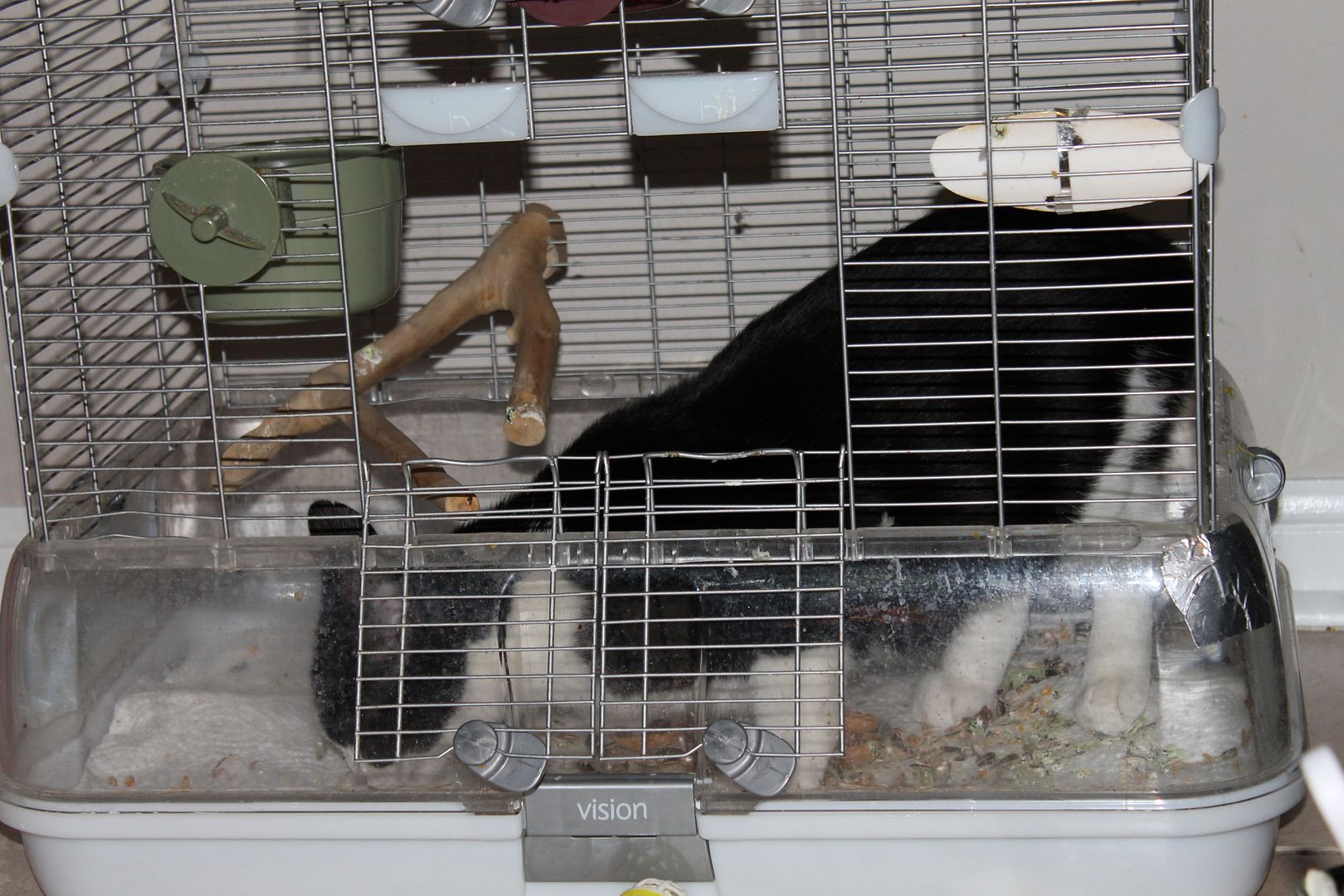 Без названия Без названия