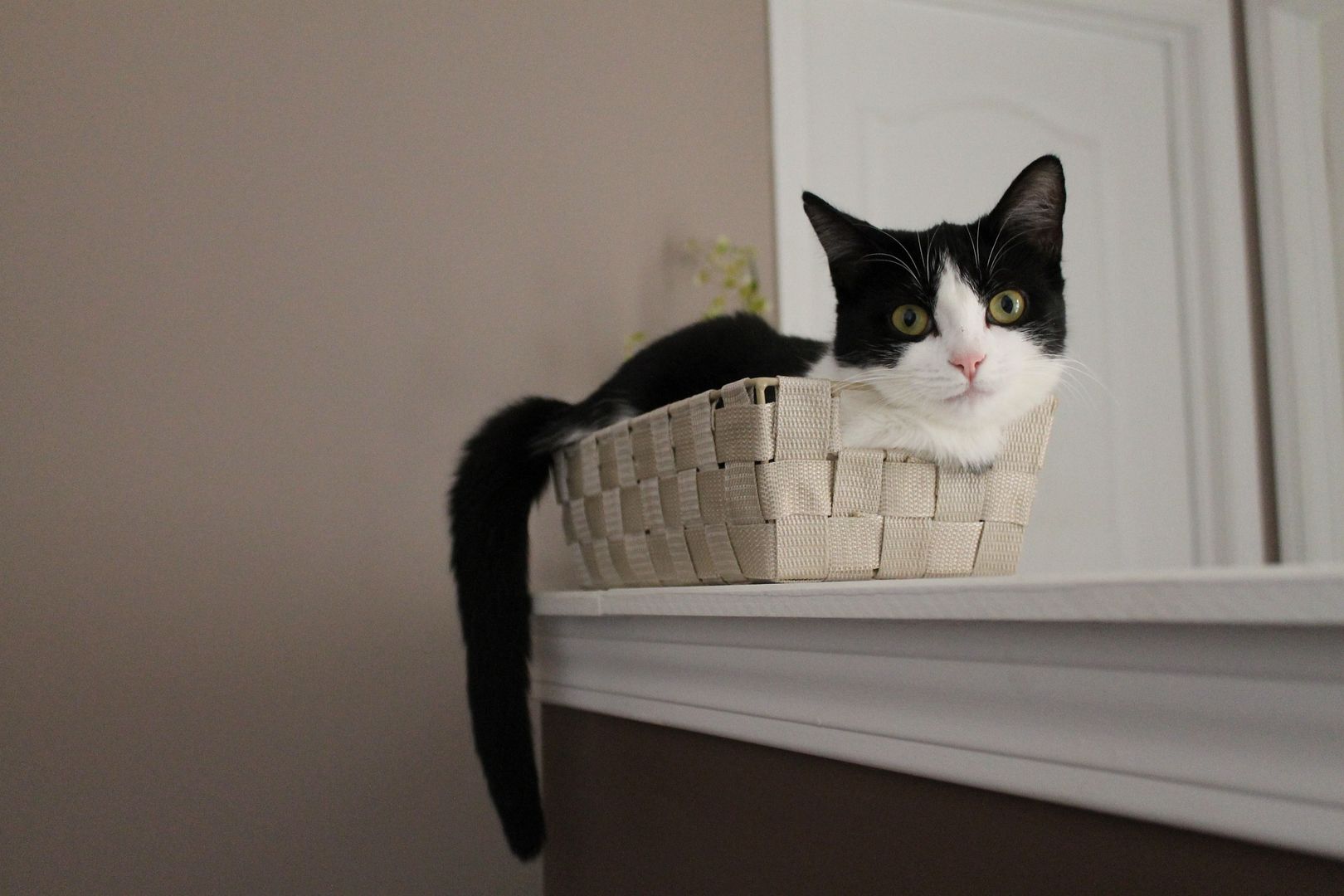 Без названия Без названия