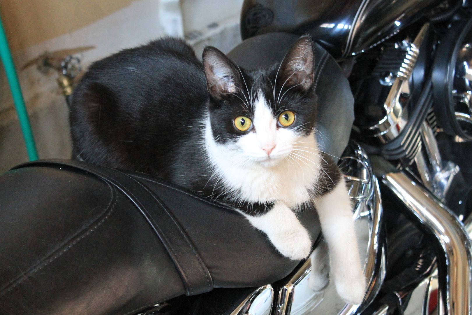 Без названия Без названия