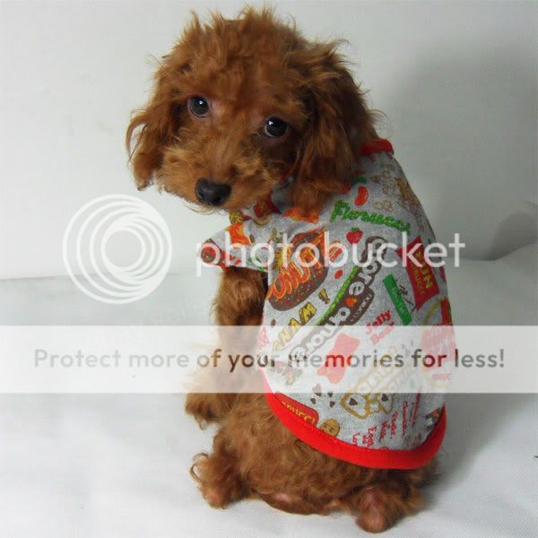 Fashion Polo Pet Dog Clothes Dress Puppy Shirt Apparel  