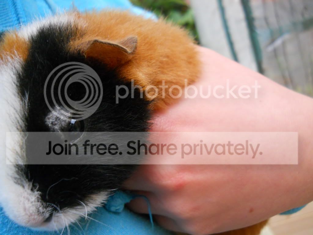 DSCN1085.jpg